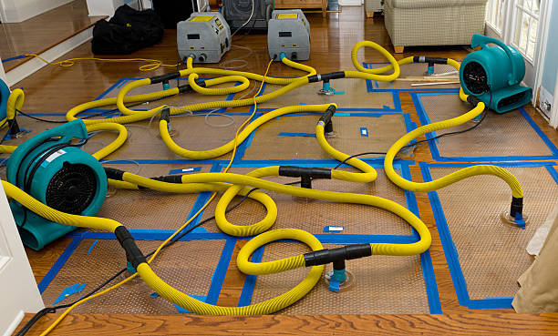 Professional Burst Pipe Water Damage technician working in Tyler, TX